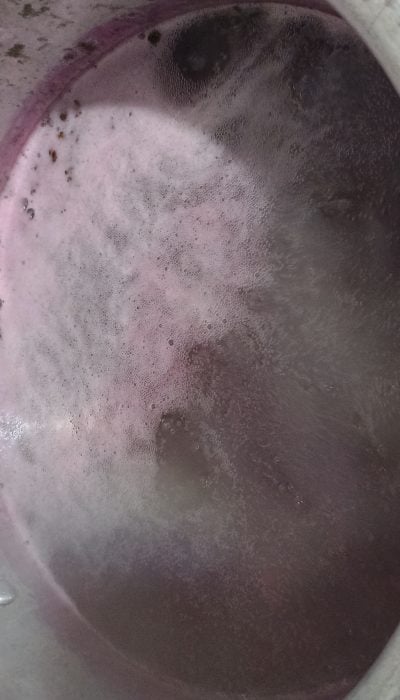 Sagu de vinho - Foto de usuário